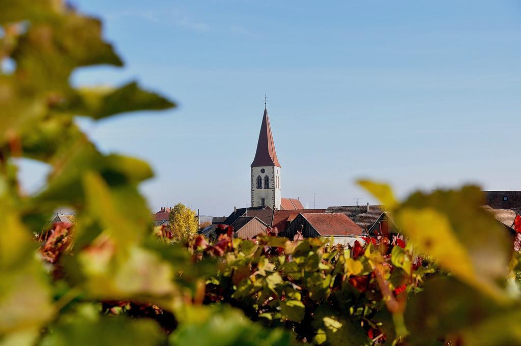 Gite Du Vignoble Ammerschwihr Esterno foto